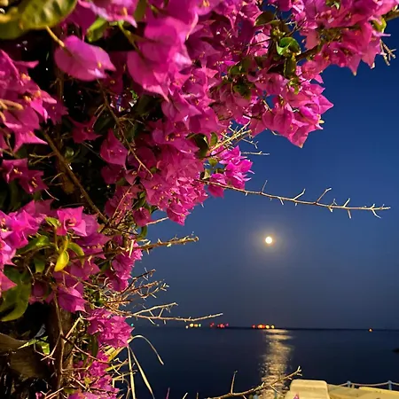 アパート La Casa Di Dory In Primopiano *