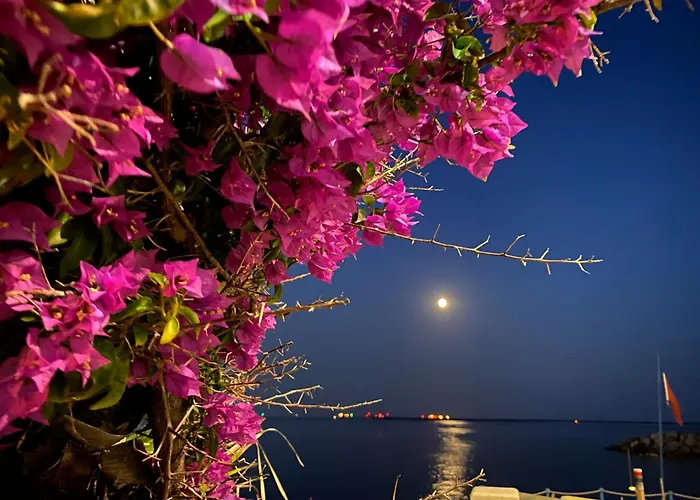 아파트 La Casa Di Dory In Primopiano *